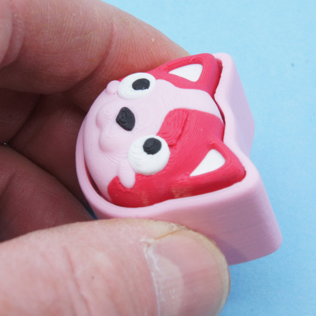 Cat Clicker