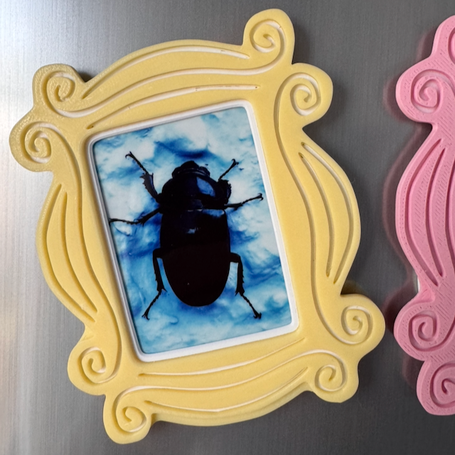 Magnetic Photo Frame for Fujifilm Instax - Fridge Display