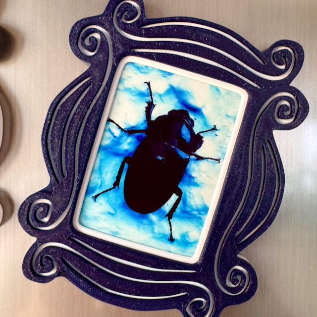 Magnetic Photo Frame for Fujifilm Instax - Fridge Display
