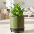 Army Green Spiral Plant Pot - prominent in bright, light-filled house