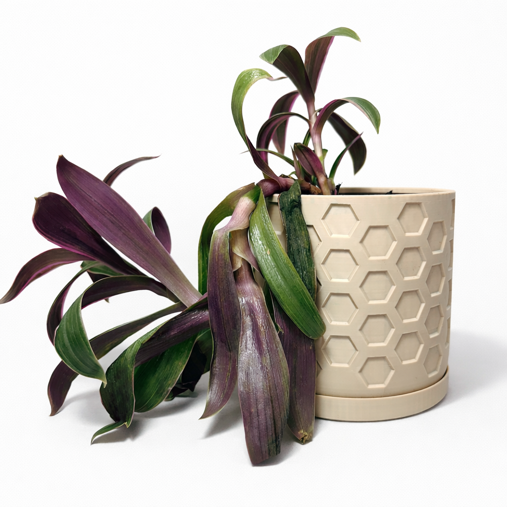 Hexagon Plant Pot with Drip Tray – 16cm