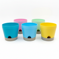 Colorful Self-Watering Pot Collection in white lightbox