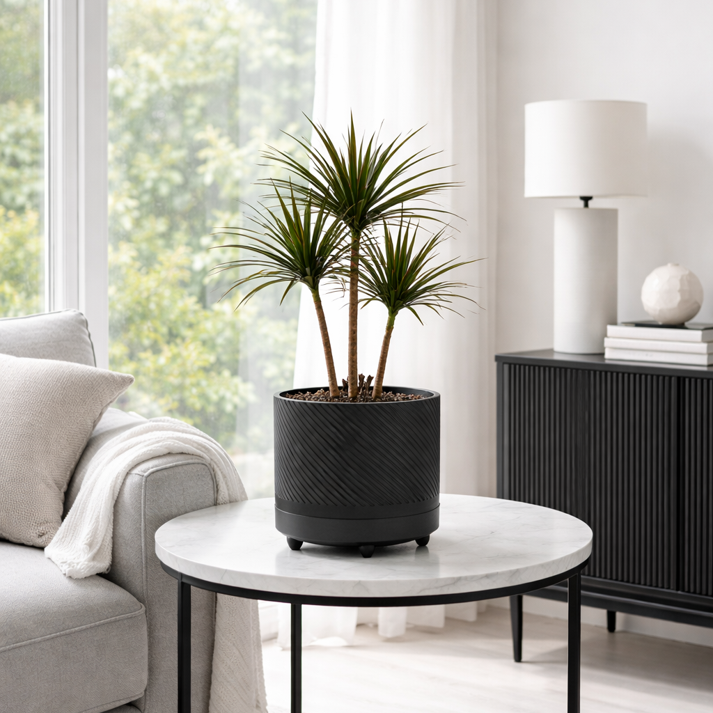 Dark Charcoal Spiral Groove Planter / Plant Pot with drip tray and feet