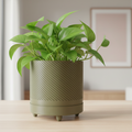 Moss Green Spiral Groove Plant Pot without tray in stylish setting
