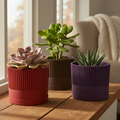 Three sparkle ribbed plant pots with succulents - cherry, chocolate, purple
